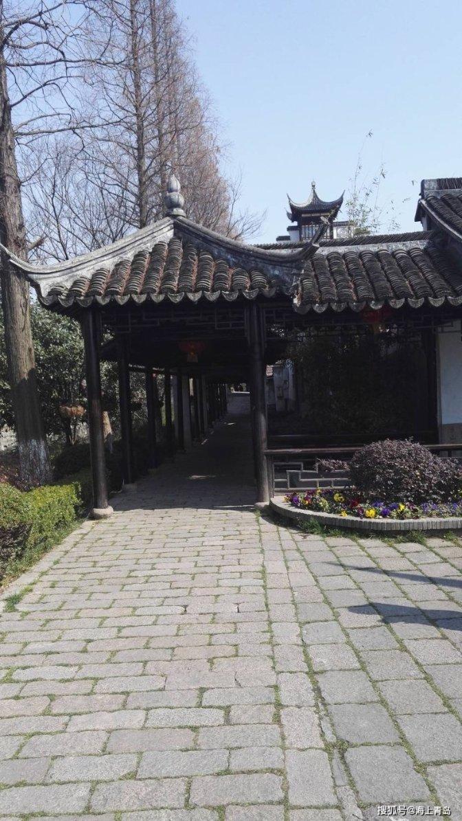 网友在路上遇到一只自己出来买橙子的金毛,金毛还自己打着手电呢